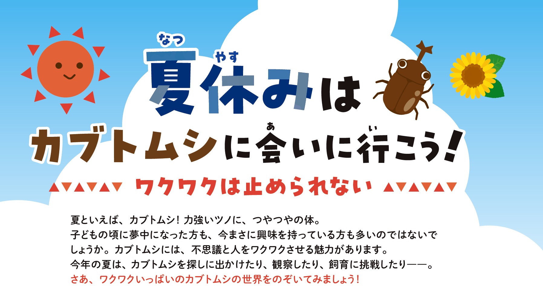 夏休みはカブトムシに会いに行こう！ワクワクは止められない