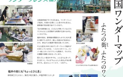 2610-wmap-fukui-2